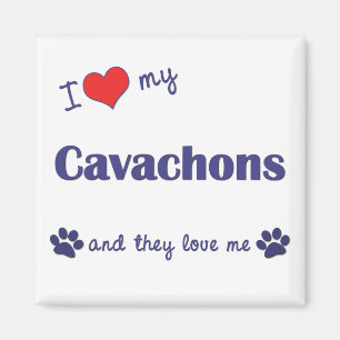 Ich Liebe meine Cavachons (mehrere Hunde) Magnet