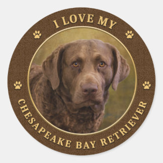 Ich Liebe meine Chesapeake Bay Retriever Round Sti Runder Aufkleber