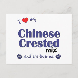 Ich Liebe meine Chinesisch-Crested-Mix (Weiblicher Postkarte