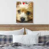 Ich Liebe meine Chorkie Leinwanddruck (Insitu (Schlafzimmer))