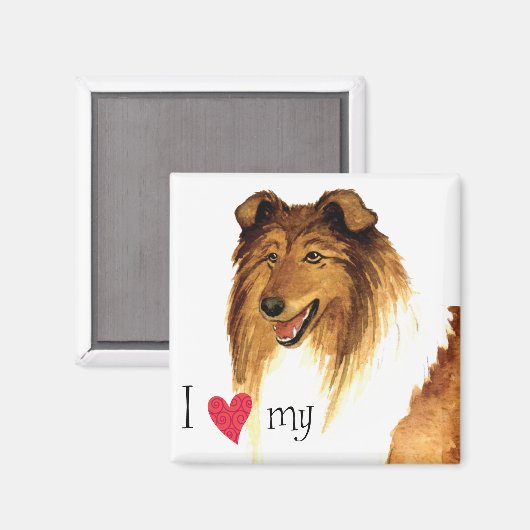 Ich Liebe meine Collie Magnet (Vorderseite/Rückseite)