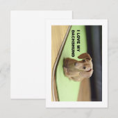 Ich Liebe meine Creme-Dackel mit Bild Dankeskarte (Vorne/Hinten)