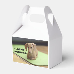 Ich Liebe meine Creme-Dackel mit Bild Geschenkschachtel