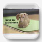 Ich Liebe meine Creme-Dackel mit Bild Pappteller (Vorderseite)