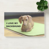 Ich Liebe meine Creme-Dackel mit Bild Post-it Klebezettel (Büro)