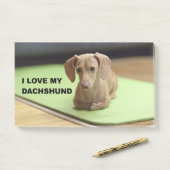 Ich Liebe meine Creme-Dackel mit Bild Post-it Klebezettel (Auf Schreibtisch)