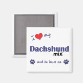 Ich Liebe meine Dackel Mix (Männerhund) Magnet (Vorderseite/Rückseite)