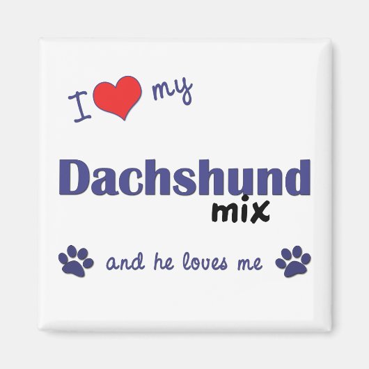 Ich Liebe meine Dackel Mix (Männerhund) Magnet (Vorne)