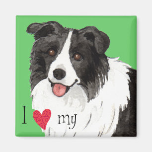 Ich Liebe meine Grenzkollie Magnet