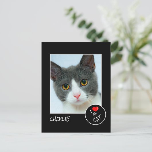 Ich Liebe meine Katze, benutzerdefiniertes Foto -  Postkarte (Stehend Vorderseite)