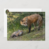 Ich Liebe meine Mama Postkarte (Vorne/Hinten)