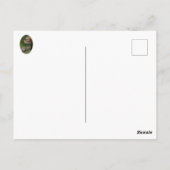 Ich Liebe meine Mama Postkarte (Rückseite)