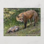 Ich Liebe meine Mama Postkarte (Vorderseite)