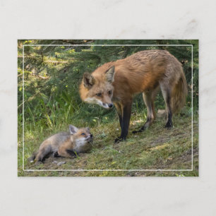 Ich Liebe meine Mama Postkarte