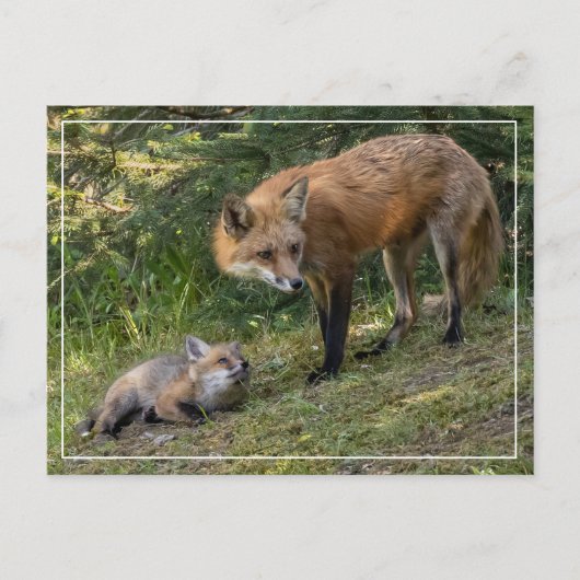 Ich Liebe meine Mama Postkarte (Vorderseite)