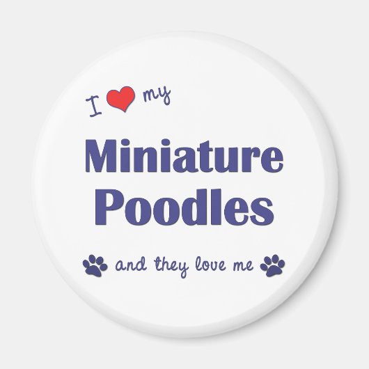 Ich Liebe meine Miniaturpoodles (mehrere Hunde) Magnet (Vorne)