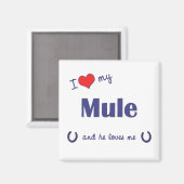 Ich Liebe meine Mule (männliche Mule) Magnet (Vorderseite/Rückseite)