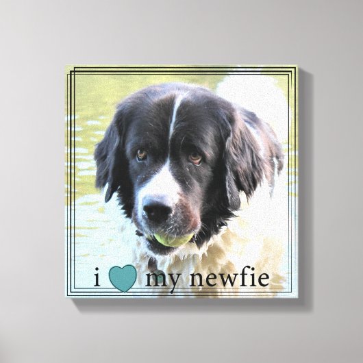 Ich Liebe meine Newfundland-Schwarzgrenze Leinwanddruck (Vorderseite)