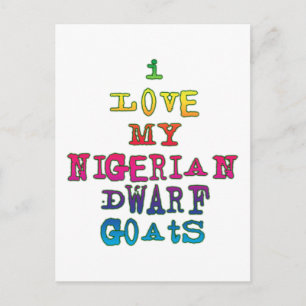 Ich Liebe meine nigerianischen Zwergziegen Postkarte