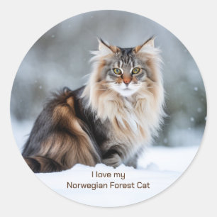 Ich Liebe meine norwegische Waldkatze im Schnee Runder Aufkleber