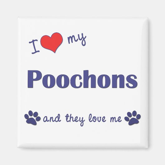 Ich Liebe meine Poochons (mehrere Hunde) Magnet (Vorne)