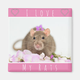 Ich Liebe meine Raten Magnet