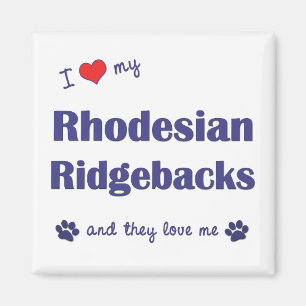 Ich Liebe meine Rhodesian Ridgebacks (mehrere Hund Magnet