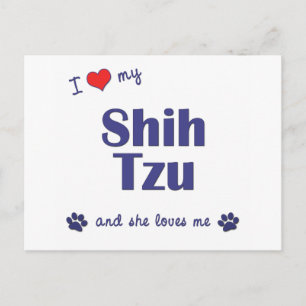Ich Liebe meine Shih Tzu (weibliche Hunde) Postkarte