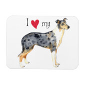 Ich Liebe meine Smooth Collie Magnet (Horizontal)