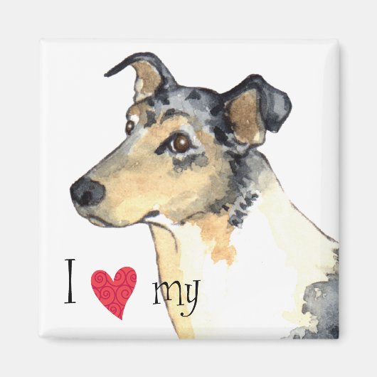 Ich Liebe meine Smooth Collie Magnet (Vorne)