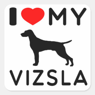 Ich Liebe meine Vizsla. Quadratischer Aufkleber