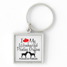 Ich Liebe meine zwei Drahthaare, die Griffons zeig