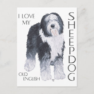 Ich liebe meinen alten englischen Schäferhund Postkarte