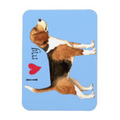 Ich Liebe meinen Beagle Magnet (Vertikal)