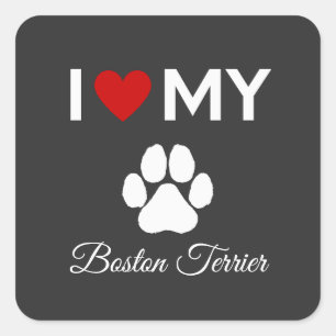 Ich Liebe meinen Boston Terrier Hundestext Quadratischer Aufkleber