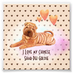 Ich Liebe meinen chinesischen Shar-Pei-Namen Custo Fotodruck