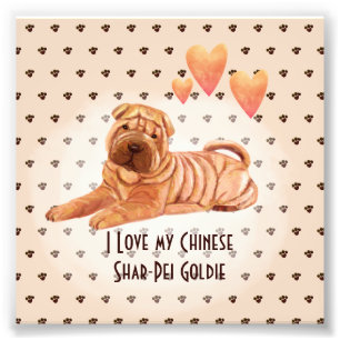 Ich Liebe meinen chinesischen Shar-Pei-Namen Custo Fotodruck