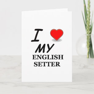 Ich liebe meinen englischen Setter Karte