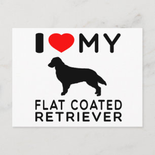 Ich Liebe meinen flachbeschichteten Retriever. Postkarte