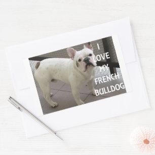 Ich liebe meinen Französischen Bulldoggen Rechteckiger Aufkleber