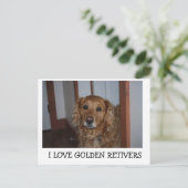 Ich Liebe meinen goldenen Reetiver Postkarte (Stehend Vorderseite)