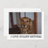 Ich Liebe meinen goldenen Reetiver Postkarte (Vorne/Hinten)