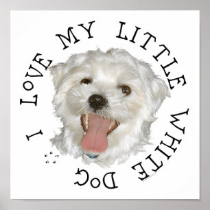 Ich liebe meinen kleinen weißen Hund Maltese Poster