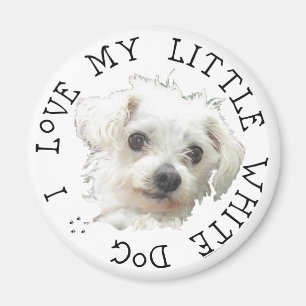 Ich liebe meinen kleinen weißen Hund - Malteser Magnet