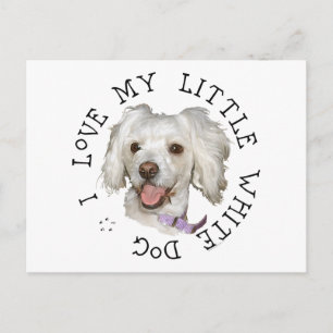 Ich liebe meinen kleinen weißen Hund Pudel / Bicho Postkarte