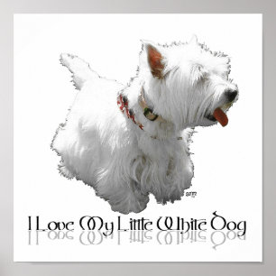 Ich liebe meinen kleinen weißen Hund - Westie Poster