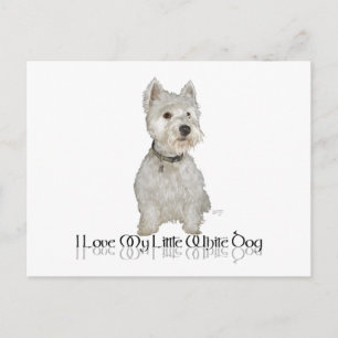 Ich liebe meinen kleinen weißen Hund - Westie Postkarte