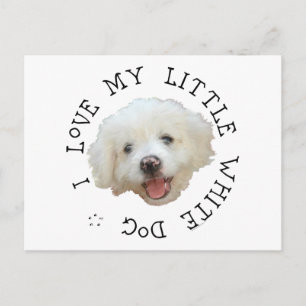 Ich Liebe meinen kleinen weißen Rettungshund Postkarte