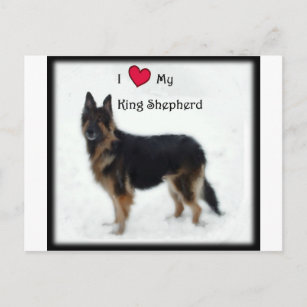 Ich liebe meinen König Schäferhund Postkarte
