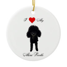 Ich Liebe meinen Mini-Poodle-Standard